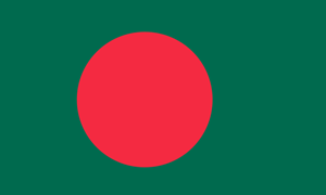 Datasoft Bangladesh Flag Icon
